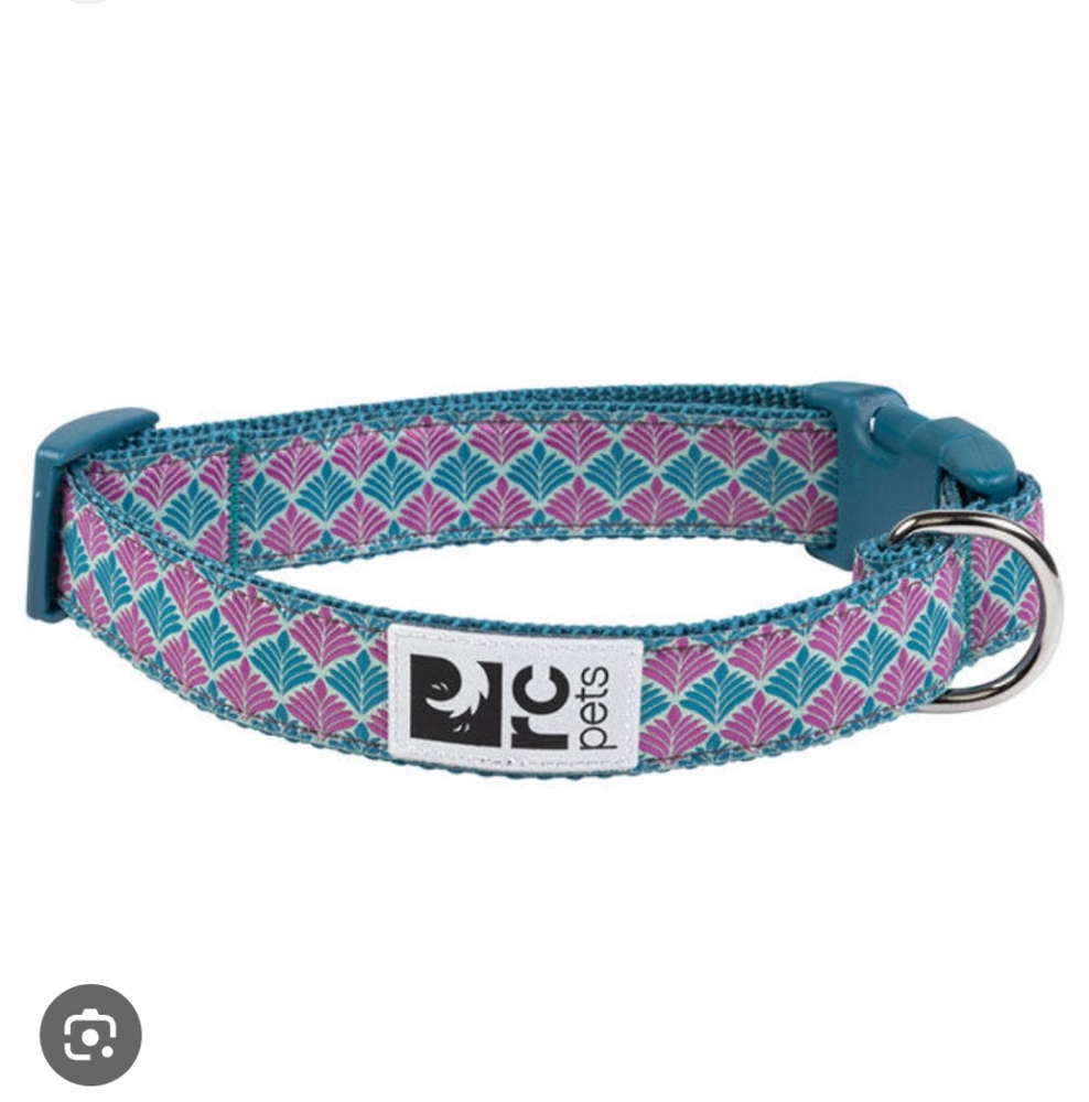 RC Pets dog collar, Deco